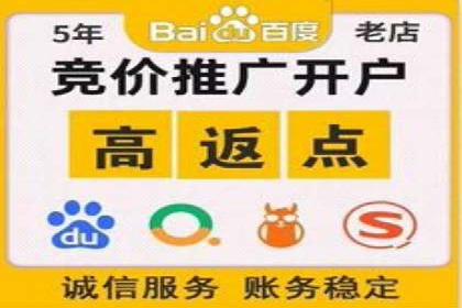 某电商平台的SEM运营实战与效果分析